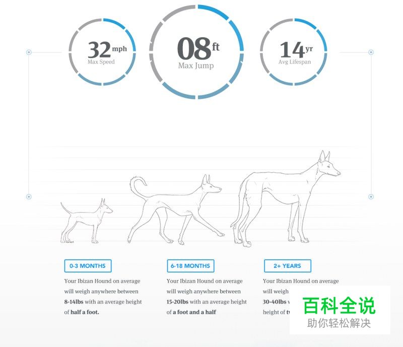 界面设计中的那些版式-图版篇