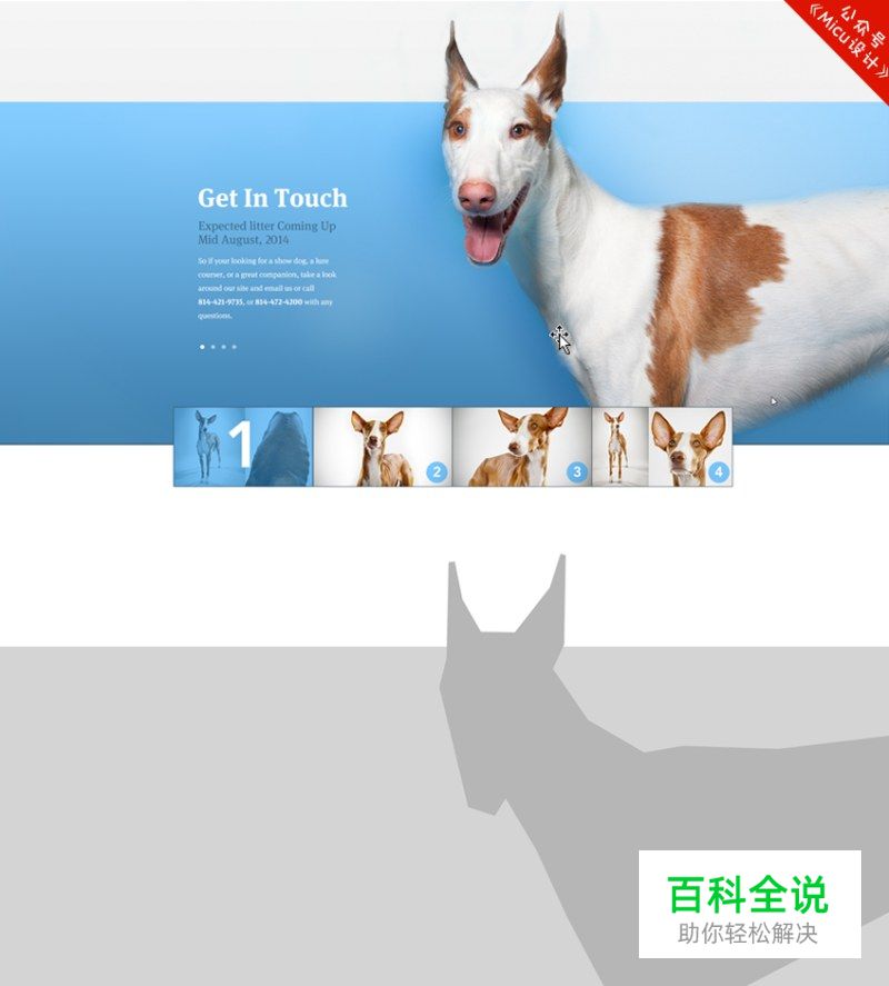 界面设计中的那些版式-图版篇