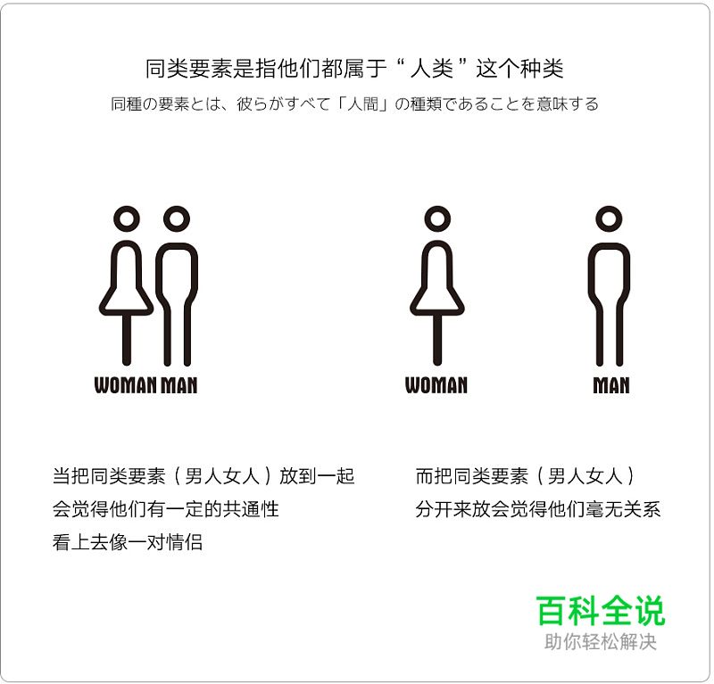 建立条理- 版式设计基础