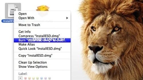 将Mac App Store的Lion刻到 DVD上