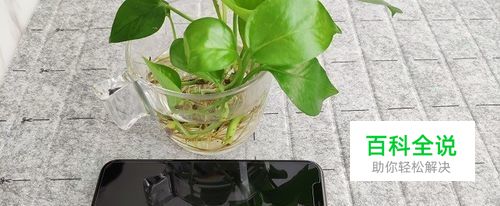 教你1分钟学会贴iPhone XS钢化膜