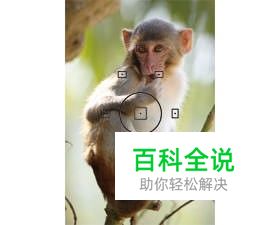 佳能5d3摄影方法