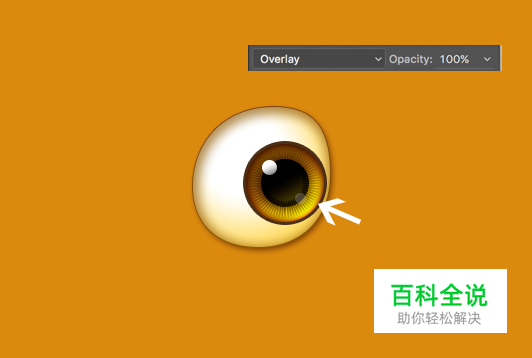 教你画出一只萌萌哒小鸟【PS教程】