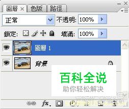教你几种动感影像营造方法