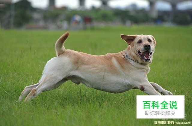 教你几种动感影像营造方法