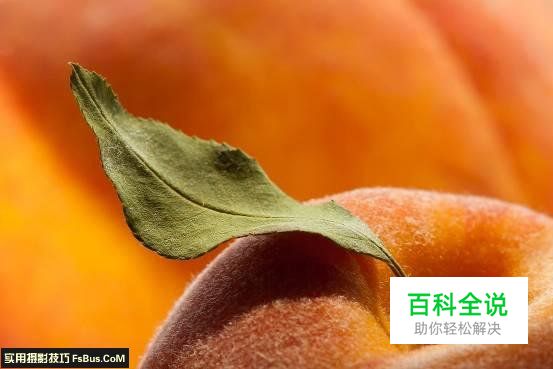 教你拍好水果静物的6个技巧