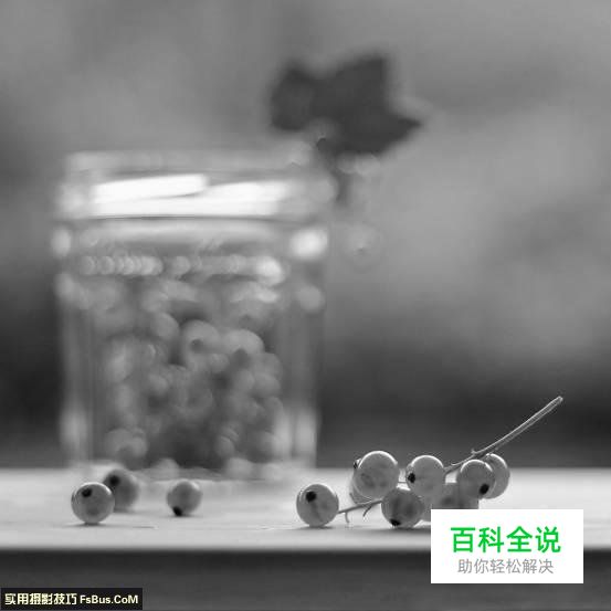 教你拍好水果静物的6个技巧