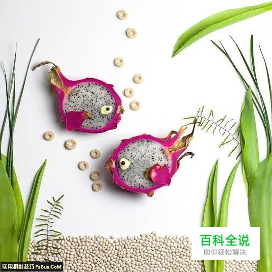 教你拍好水果静物的6个技巧