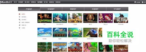 教你如何玩转PT游戏