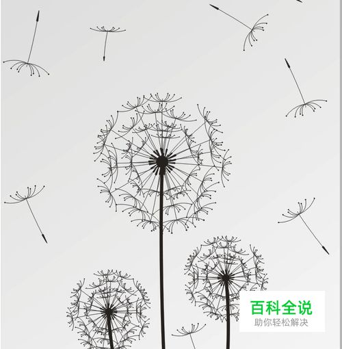 教你用CorelDRAW绘制蒲公英