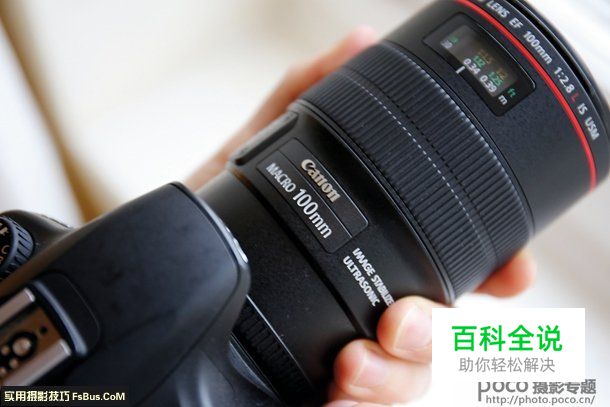 教你用微距镜头拍出特色人像