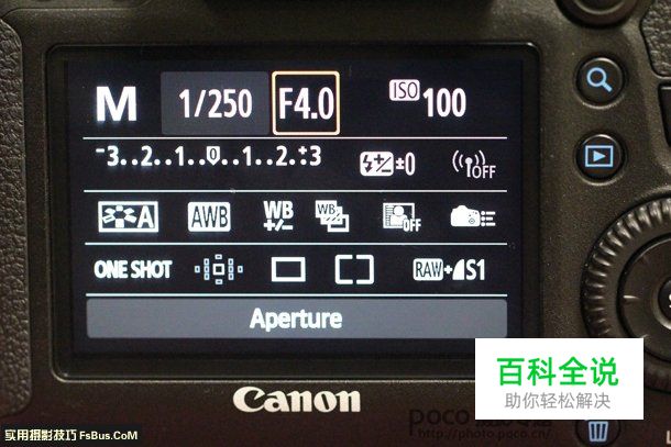 教你用微距镜头拍出特色人像