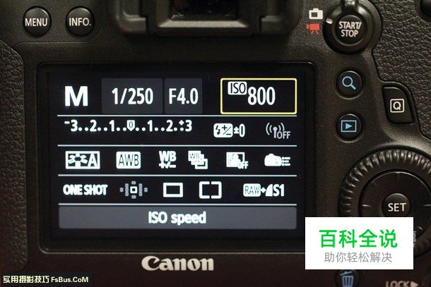 教你用微距镜头拍出特色人像