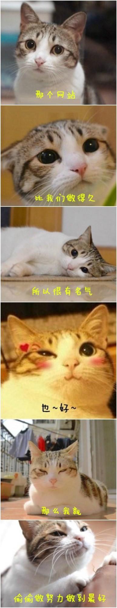 教你用美图秀秀拼出失恋六连拍图片