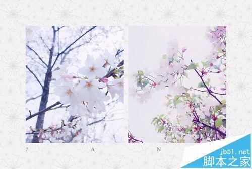 简拼app怎么制作明信片拼图?