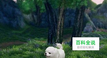 剑三静静任务攻略