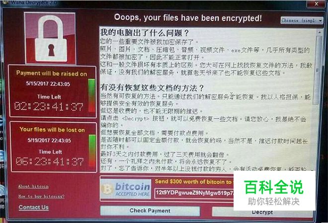 计算机勒索病毒，计算机比特病毒到底是什么