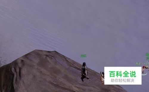 剑三顺顺·[宠物奇缘·烟花戏·月]（明教汪）