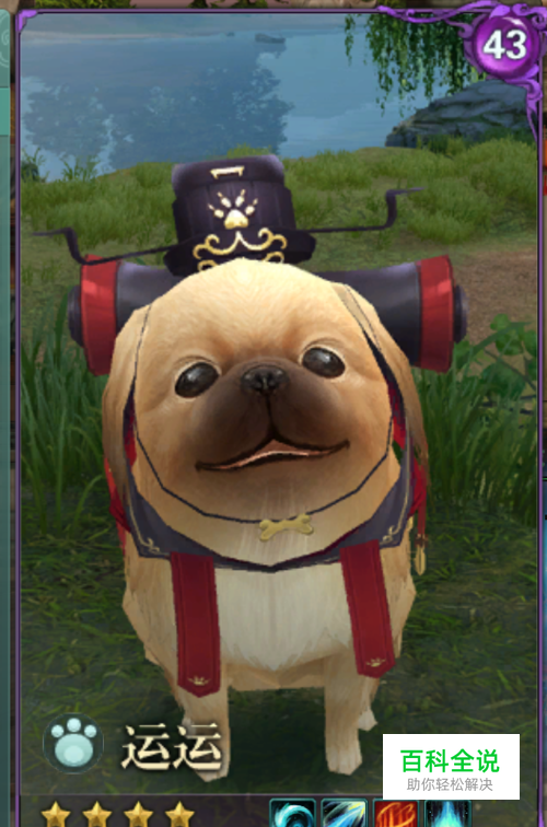 剑三运运·[宠物奇缘·锻剑女]（金水）