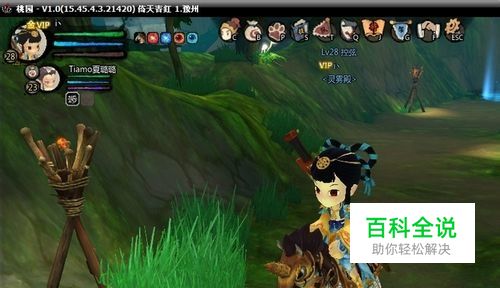 介绍《桃园》职业