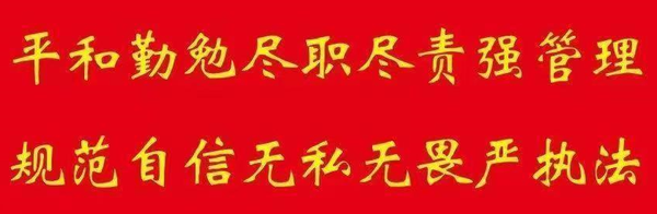 交通罚款网上缴费(123交管网违章查询)