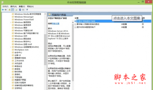 禁用Win8.1和IE浏览器显示密码功能的方法