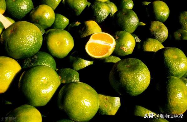 橘子的储存保鲜方法（新鲜柑橘怎么长久保存）