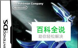 口袋妖怪珍珠图文攻略