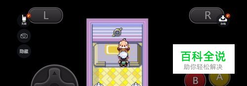 口袋妖怪究极绿宝石II紫堇市道馆如何打