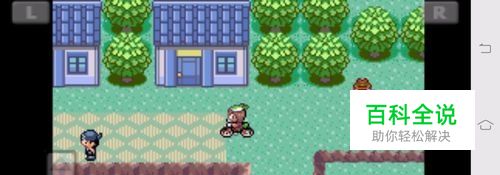 口袋妖怪绿宝石如何遗忘秘传技能