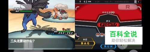 口袋妖怪黑2三头恶龙如何配招