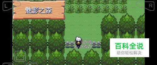 口袋妖怪漆黑的魅影魅影之森剧情攻略