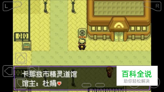 口袋妖怪漆黑的魅影岩石道馆攻略