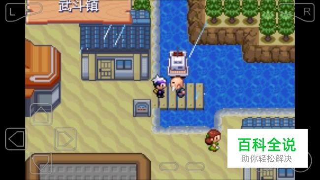 口袋妖怪漆黑的魅影怎么去武斗镇