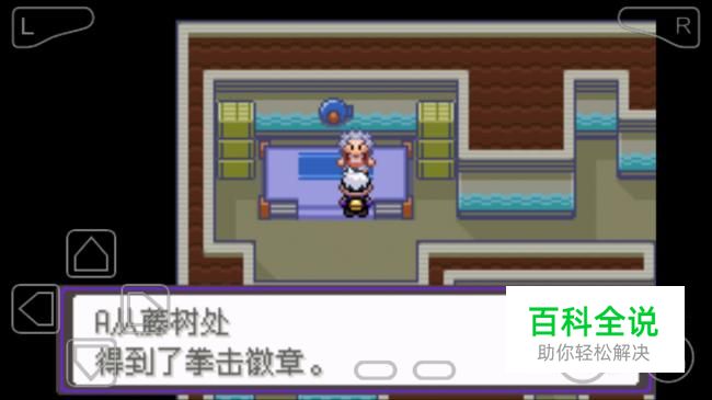 口袋妖怪漆黑的魅影格斗道馆攻略