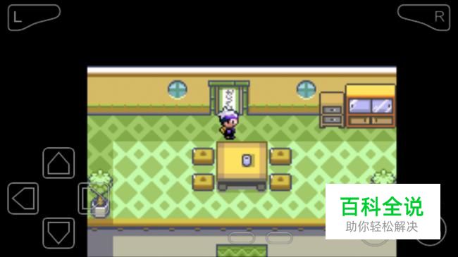 口袋妖怪漆黑的魅影奇妙的戏法屋攻略