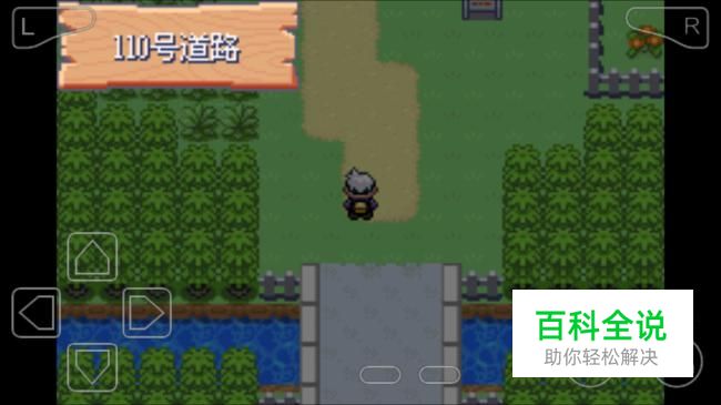 口袋妖怪漆黑的魅影快速赚钱的小技巧