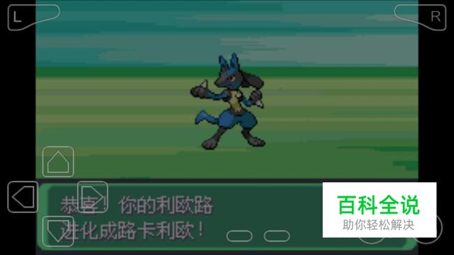 口袋妖怪漆黑的魅影利欧路怎么进化