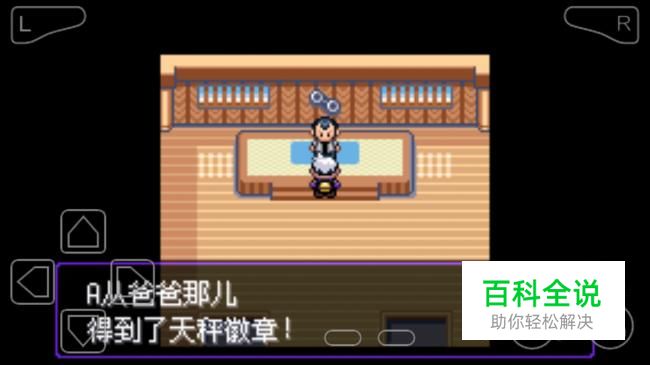 口袋妖怪漆黑的魅影橙华道馆攻略