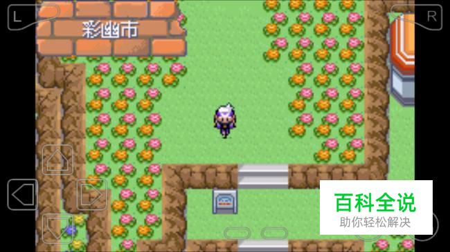 口袋妖怪漆黑的魅影怎么去