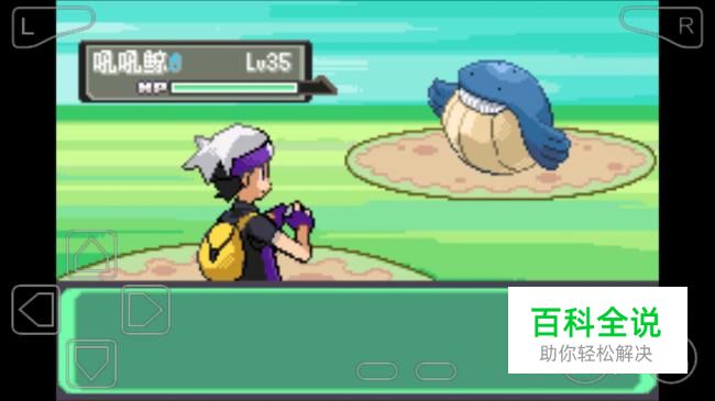 口袋妖怪漆黑的魅影吼吼鲸在哪抓