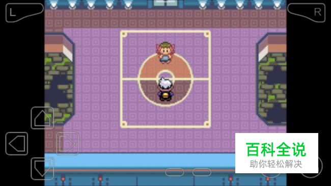 口袋妖怪漆黑的魅影幽灵系天王攻略