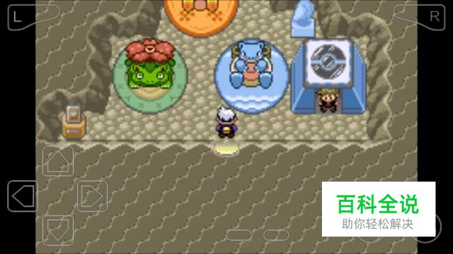 口袋妖怪漆黑的魅影二周目小绿攻略