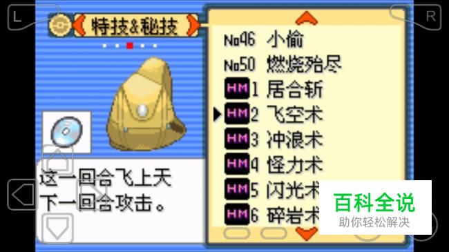 口袋妖怪漆黑的魅影5.0飞空术在哪得？