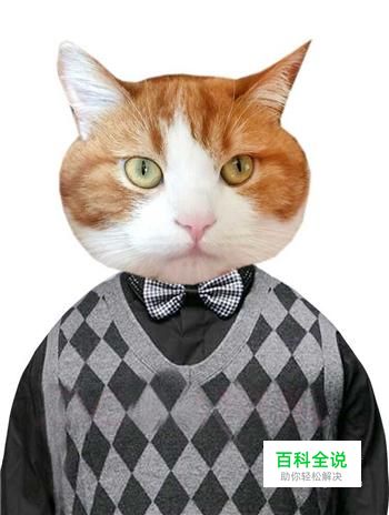 考试报名照片完美修改—修改照片尺寸大小方法