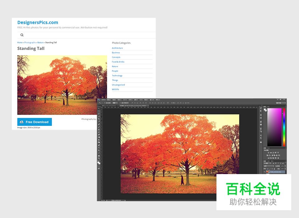 快速打造炫彩蜂巢背景图案