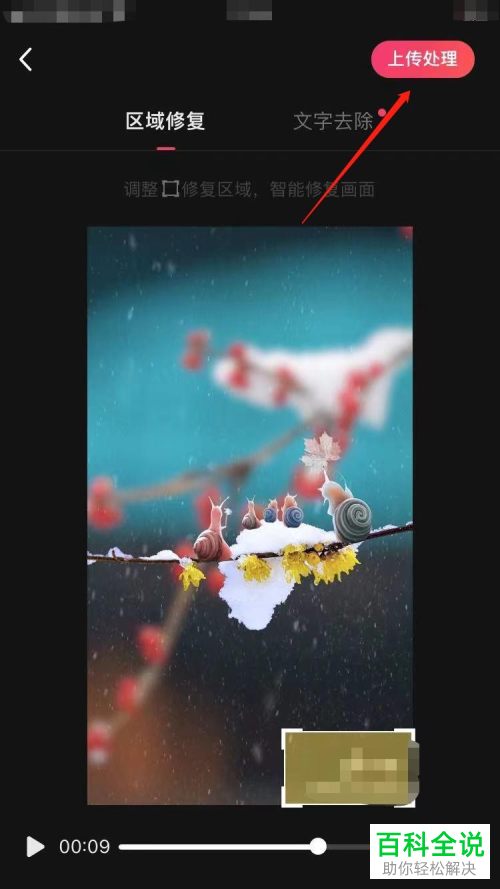 快影App怎么删除视频中的水印