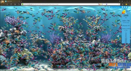 猎豹浏览器怎么样