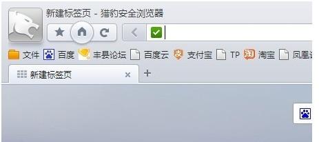 猎豹浏览器如何查看浏览记录?猎豹浏览器查看历史记录的方法图解