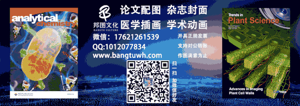 锂电池知识入门（锂电池基础知识）